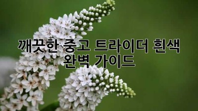 깨끗한 중고 트라이더 흰색, 완벽 가이드